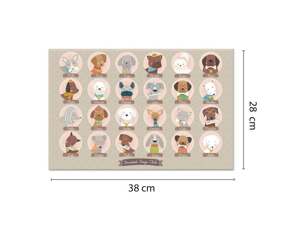 Apli Igra Kdo je kdo