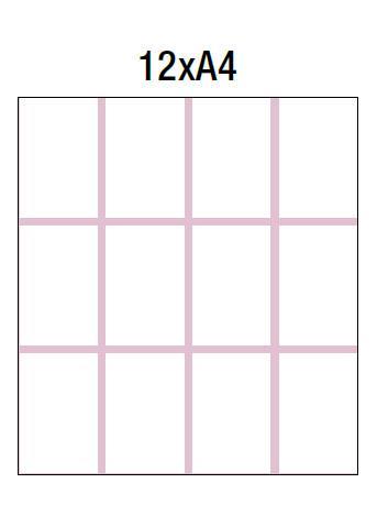 Bi-Office Vanjska oglasna vitrina s ključem 12xA4