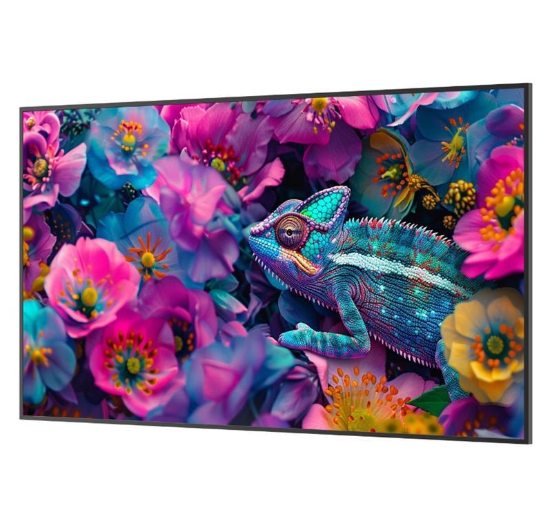 Newline Profesionalni LFD zaslon DSX 43''