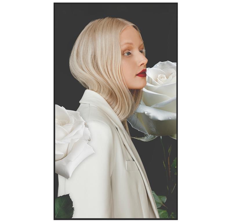 Newline Profesionalni LFD zaslon DSX 55''