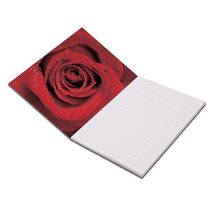 Klipko Blok stenogramski A4, vrtnica