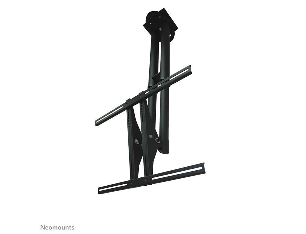 Neomounts Stropni nosilec za monitor/TV 37-75"