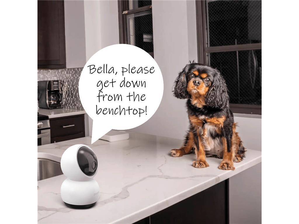 Swann EVO PT unutarnja kamera, bežična